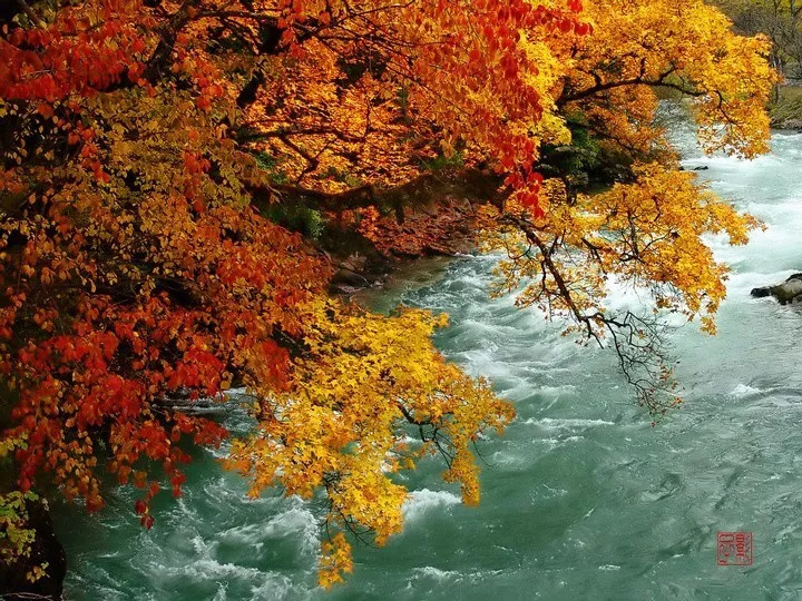 天進儀器 天進儀器