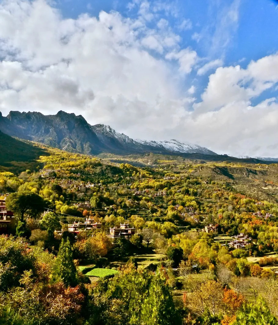 天進儀器 天進儀器