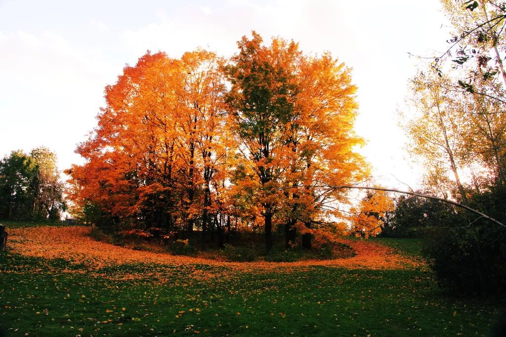 天進儀器 天進儀器