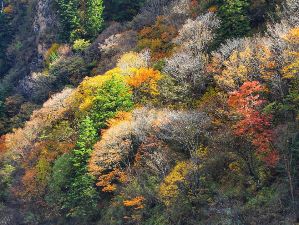 天進儀器 天進儀器