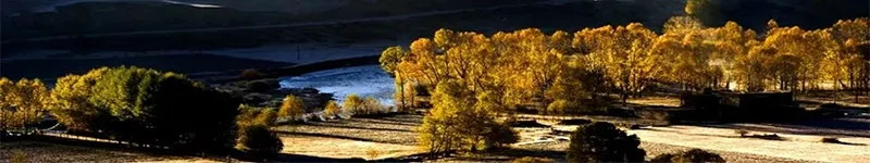 天進儀器 天進儀器