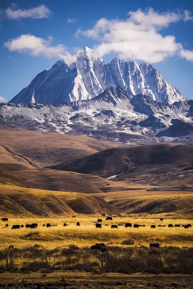 天進儀器 天進儀器