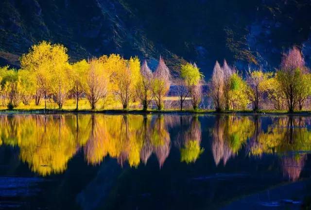 天進儀器 天進儀器