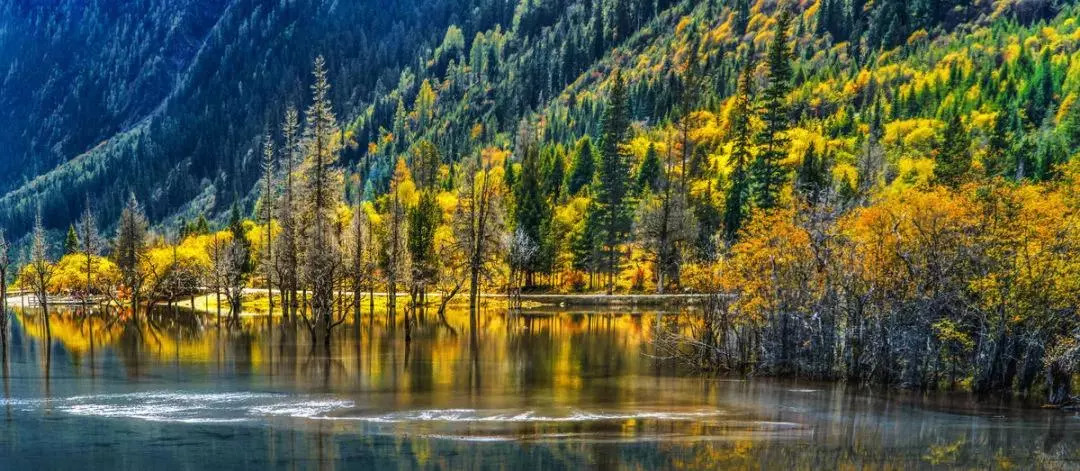 天進儀器 天進儀器