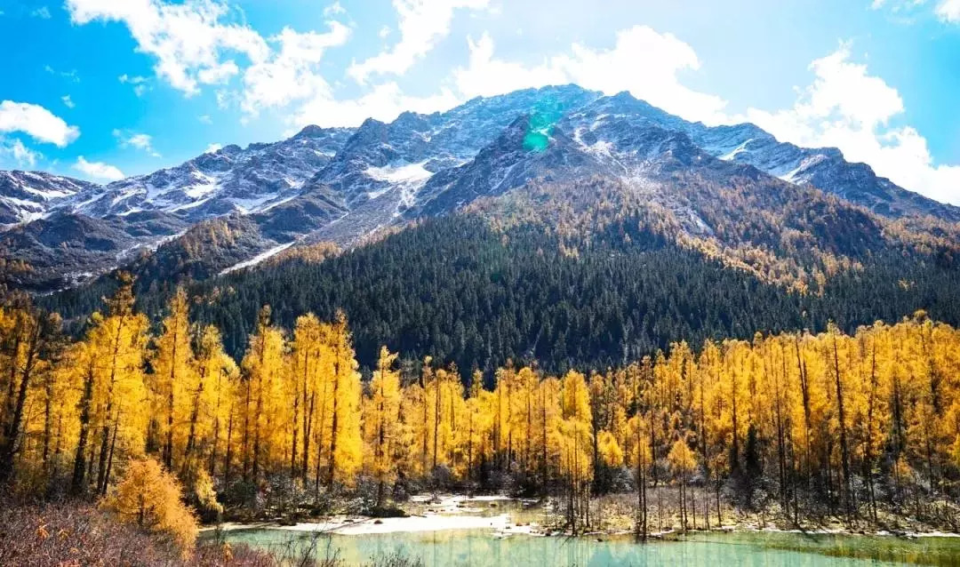 天進儀器 天進儀器