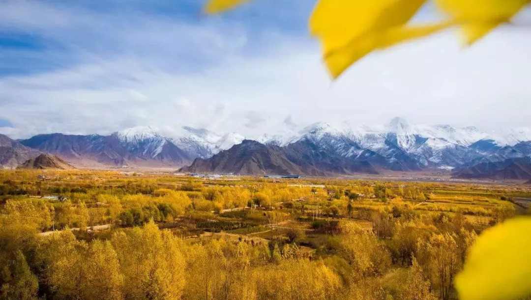 天進儀器 天進儀器