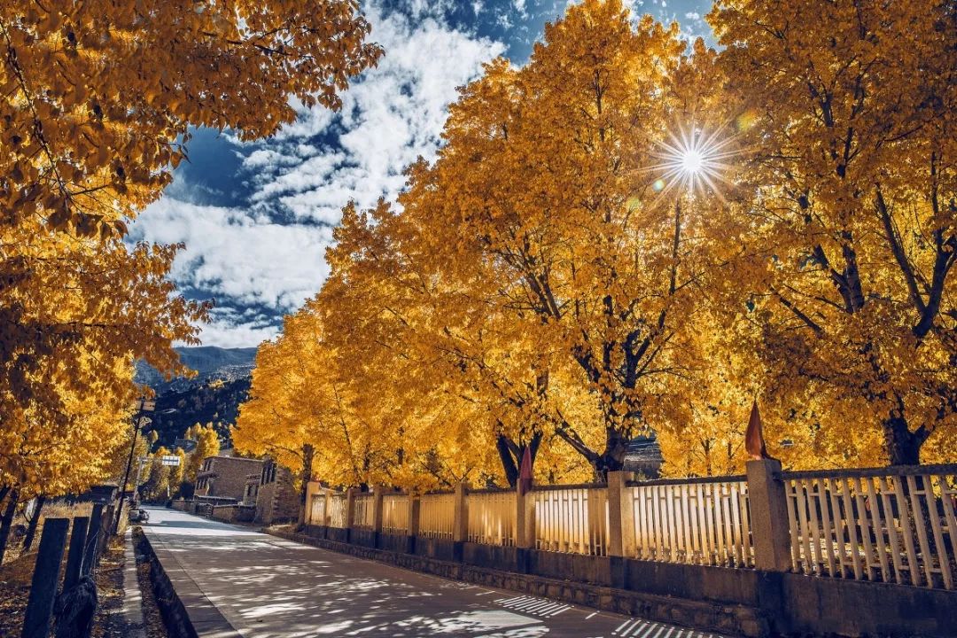 天進儀器 天進儀器