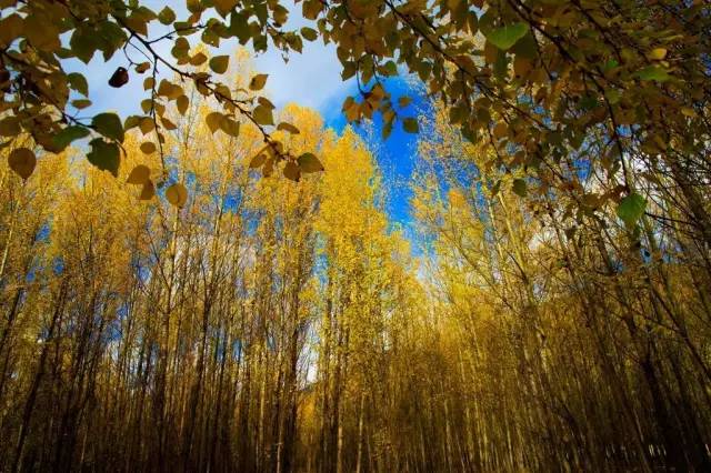 天進儀器 天進儀器