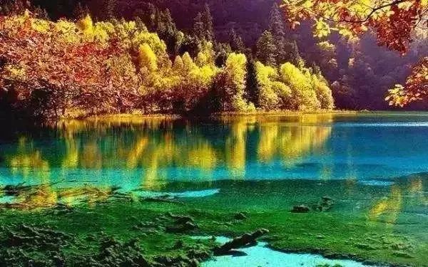 天進儀器 天進儀器