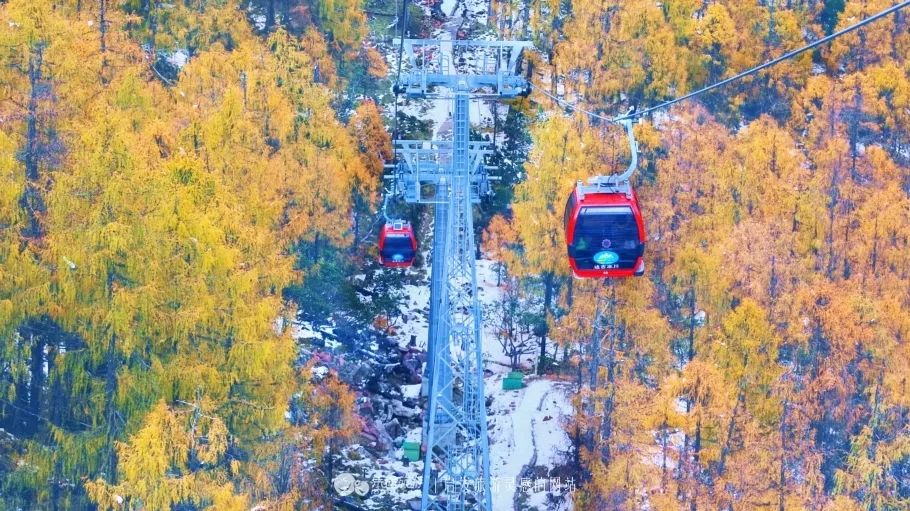 天進儀器 天進儀器