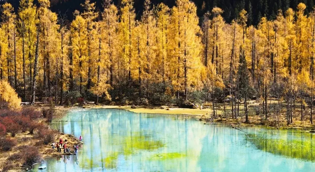 天進儀器 天進儀器