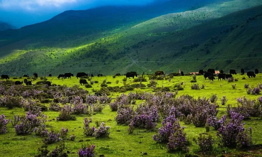 天進儀器 天進儀器