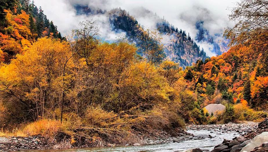 天進儀器 天進儀器