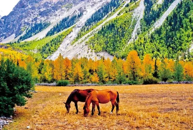 天進儀器 天進儀器