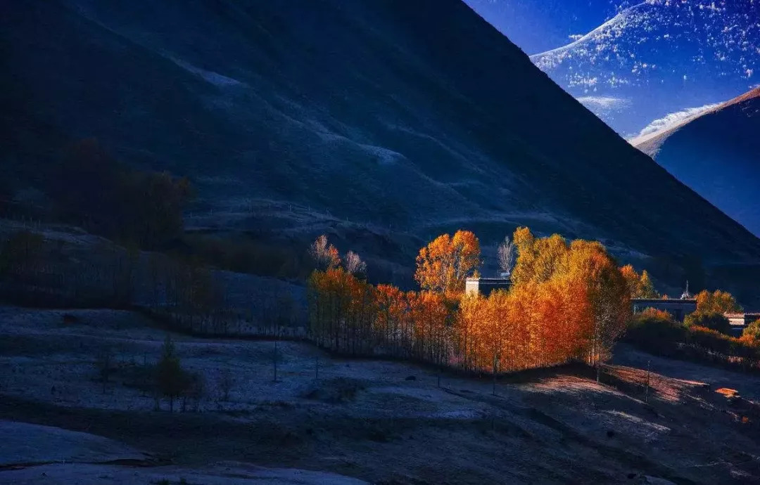 天進儀器 天進儀器