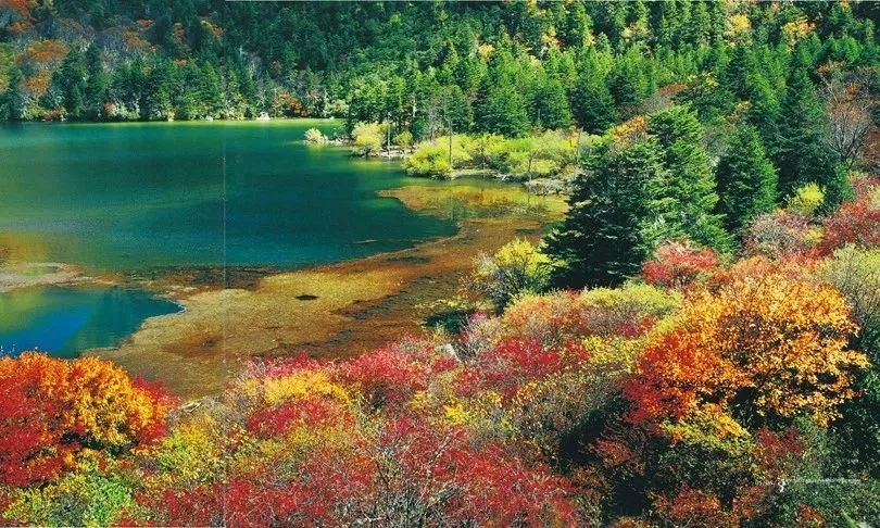 天進儀器 天進儀器