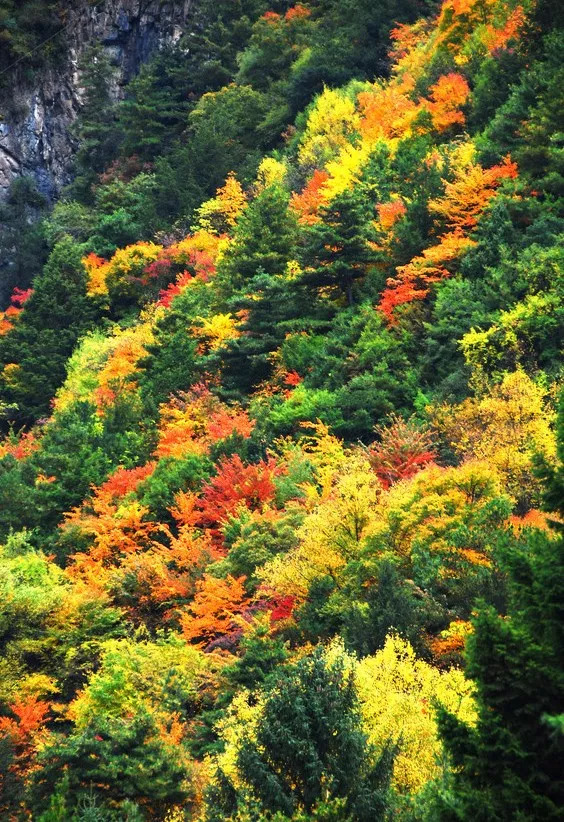 天進儀器 天進儀器