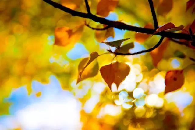 天進儀器 天進儀器