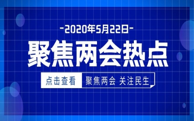 國家電網堅持“兩手抓”全力服務“六穩”“六保”